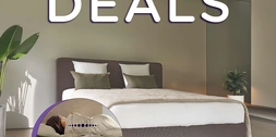 Lattoflex Deals